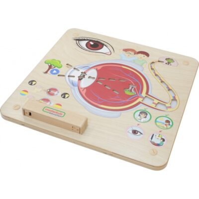 Masterkidz Wall Training Board - Eyes