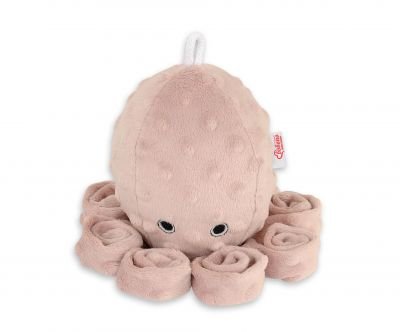 Mīlīgs astoņkājis ar grabulīti